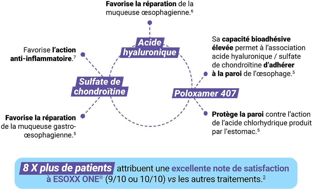 • Favorise la réparation de la muqueuse œsophagienne.(6) : Acide hyaluronique
• Favorise l’action anti-inflammatoire.(7),
• Favorise la réparation de la muqueuse gastro-œsophagienne.(5) : Sulfate de chondroïtine 
• Sa capacité bioadhésive élevée permet à l’association acide hyaluronique / sulfate de chondroïtine d’adhérer à la paroi de l’œsophage.(5),
• Protège la paroi contre l’action de l’acide chlorhydrique produit par l’estomac.(5) : Poloxamer 407 / 8 X plus de patients attribuent une excellente note de satisfaction à ESOXX ONE® (9/10 ou 10/10) vs les autres traitements.(2)